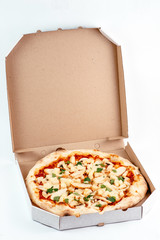 pizza on a white background