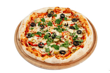 pizza on a white background