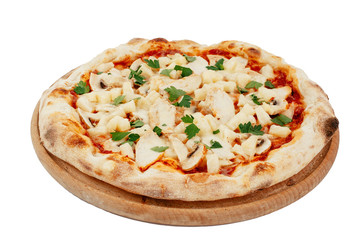 pizza on a white background