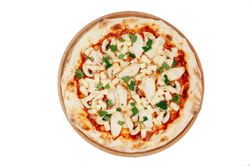pizza on a white background