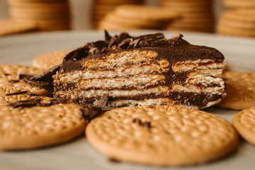 Delicious biscuit and chocolate cake. Homemade cake on biscuit background.  
