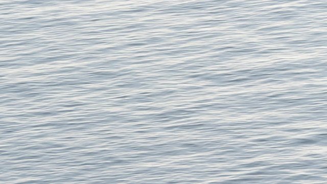 Blue grey sea water surface at cloudy sunless day.  Nature background