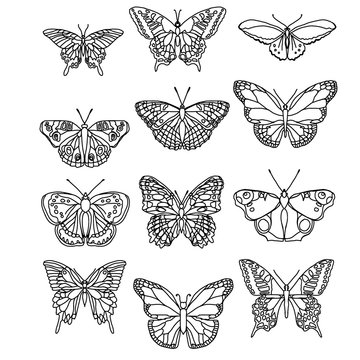 Seamless  pattern with butterflies. Set butterflies. Coloring book. Page antistress coloring. Coloring book for adults. Page coloring for adults