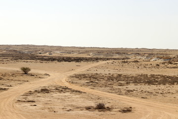 Fototapeta na wymiar désert du Qatar et champignon rock