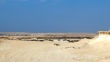 désert du Qatar et champignon rock