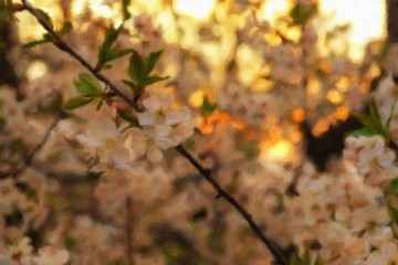 Oil paintings landscape. White or pink tree flowers that bloom in spring. Fine art.