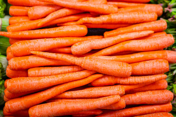 bunch of carrots