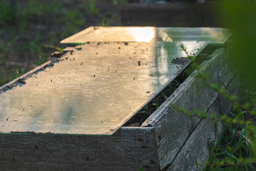 Handmade glass and wooden greenhouse in the backyard