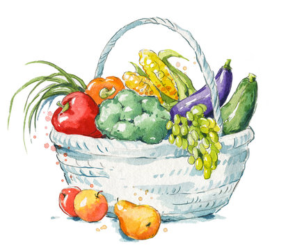 A basket full of fresh fruit and vegetables watercolor illustration