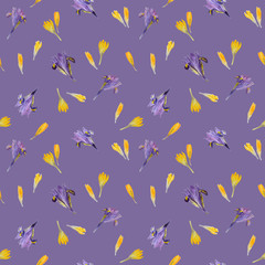 Fototapeta na wymiar Seamless pattern with flowers irises and crocuses. Watercolor spring flowers background.