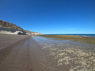 Puerto Madryn.JPG