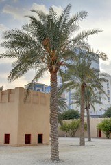 Fototapeta na wymiar Doha, capitale du Qatar: bâtiments et monuments