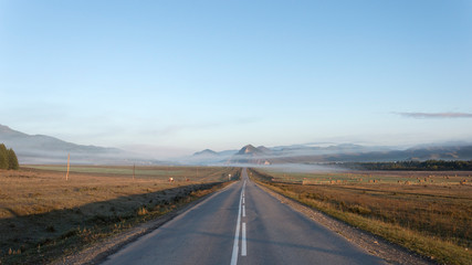 Fototapeta na wymiar The road goes to the horizon. On a mountain horizon with fog. Around the field with cows