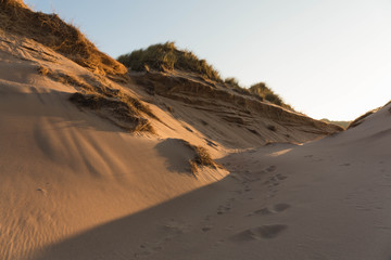 Beautiful dunes at sunset on Balmedie beach