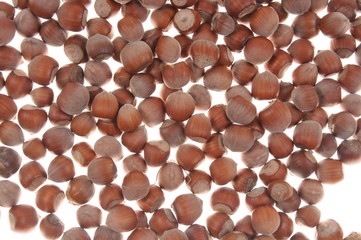 Hazelnuts pattern isolated on white background. Close-up.