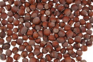 Hazelnuts pattern isolated on white background. Close-up.