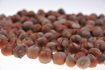 Hazelnuts pattern isolated on white background. Close-up.