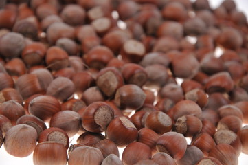 Hazelnuts pattern isolated on white background. Close-up.
