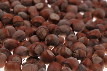 Hazelnuts pattern isolated on white background. Close-up.