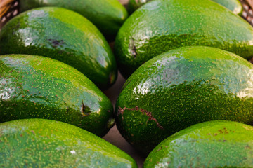 Aguacates varios