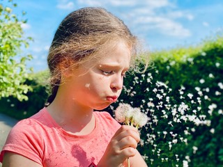 Little girl blows seeds from a dandelion flower 