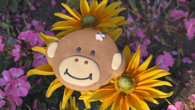 A Close Up View Of A Monkey Shaped Cookie Amongst Real Flowers.