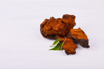 Natural Chaga mushroom pieces  decorated with birch twig on a white plank background, close up.