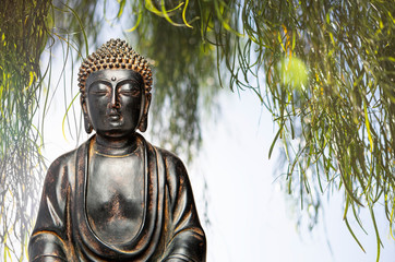 A view of a replica statue of The Buddha with sky and a desert acacia tree in the background