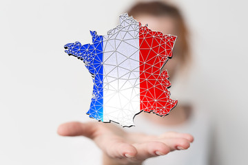 3d Digital France map country modern.