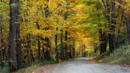 Fototapeta premium Brilliant maple tree colors in Vermont Countryside road and farm in Autumn near Woodstock