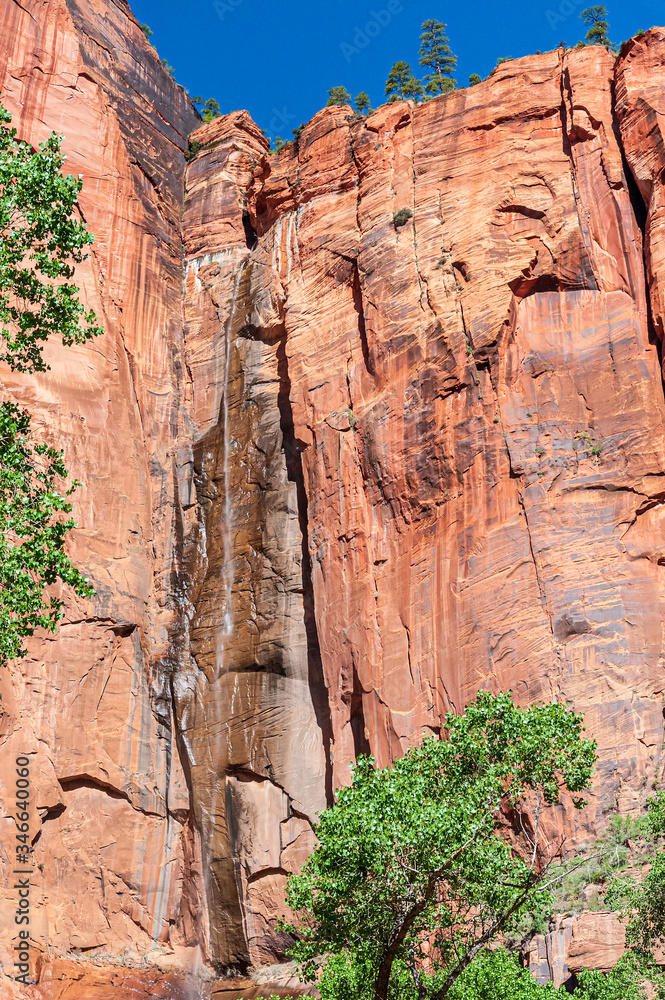 Canvas Prints Weeping Rock Waterfall in Zion National Park Utah USA