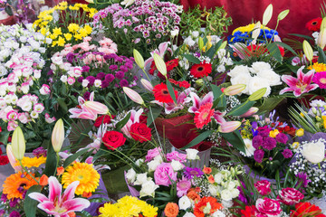 Variety of plants and flowers at the flower market