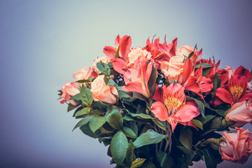 Stylish bouqet of tender flowers. Beautiful bouquet with roses, dianthus, hypericum.