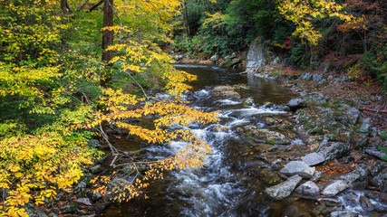 Autumn stream at the Smoky Mountain national Park stone bridge