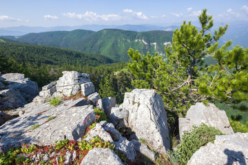 Landscape from The Red Wall Peak to Rhodopes, Bulgaria