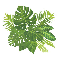 Tropical green leaves bouquet on white background. Palm branches composition. Vector illustration.