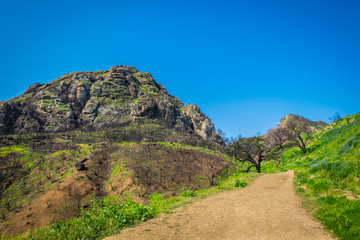 Dirt path in Malibu Creek State Park in the Santa Monica Mountains at springtime 2019