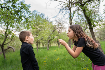 Brunette girl blowing on white dandelion on her little brother