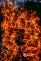 torture woodpile with firewood