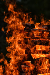 torture woodpile with firewood