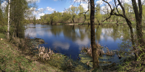 Obraz premium Spring carp fishing on the pond.