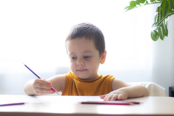 The boy draws with pencils at the table. Homework. A boy at the window with a flower. Online learning. Quarantine self-isolation. We are sitting at home. Children's entertainment with self-isolation. 