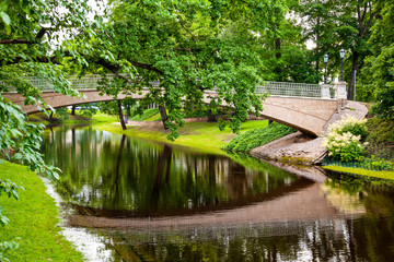 Fototapeta na wymiar Pedestrian bridge in the park.