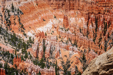 Bryce Canon National Park Utah USA Hoodoos