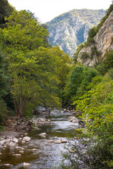 Deva river crossing the 'Picos de Europa' mountain range