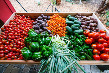 Farmers Market Vegetables