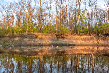Evening wild sunny high riverbank reflection mirror on water of Siverskyi Donets River in Ukraine. Spring landscape with fallen tree in river and young green bush