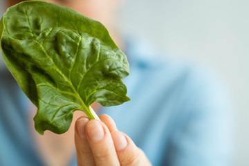 healthy eating, dieting, vegetarian food  concept - spinach leaf is in a female hand