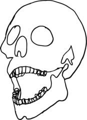 Skull embroidery graphic design vector art