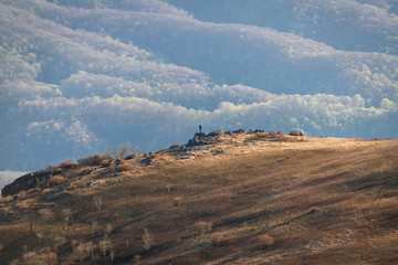 Golden Hour on the Appalachian Trail at Whitetop Mountain, Virginia